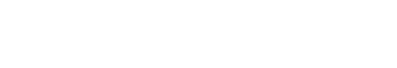Wander & Discover